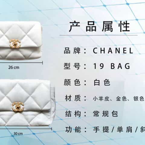 Chanel香奈儿 19 Flap Bag AS1160小号26C白色