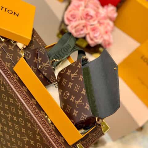 Louis Vuitton LV Félicie Strap & Go bag M80091