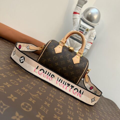 Louis Vuitton LV Speedy Bandoulière 20 刺绣肩带枕头包 M45957