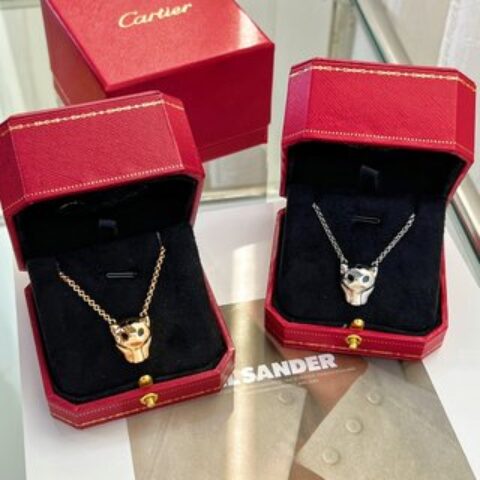 新款☑️卡地亚Cartier丛林系列 光面豹子头🐆项链